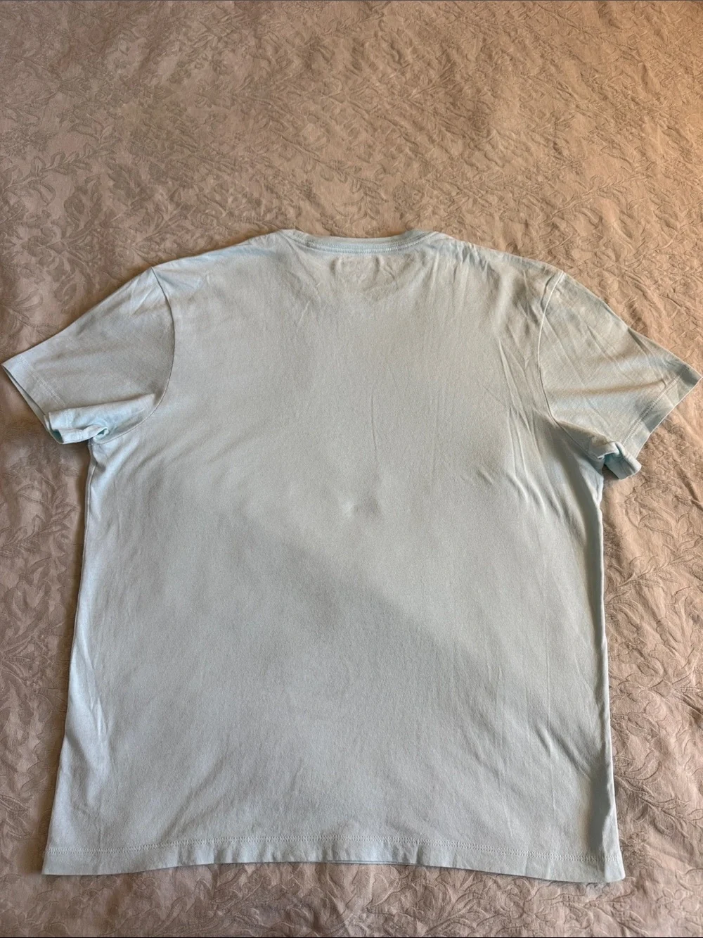 J. Crew Men's Pale Light Blue Crewneck T-Shirt